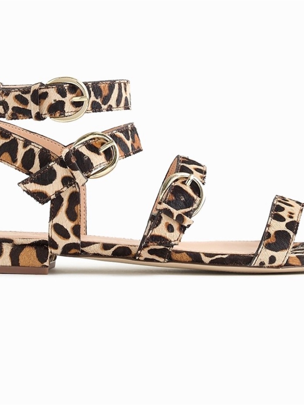 J. Crew Leopard Print Strappy Sandals with Gold Buckles